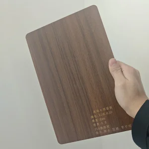 A1 Fire Rated Hospital Wall Panel