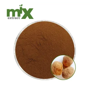 Lion's Mane Mushroom Extract Powder