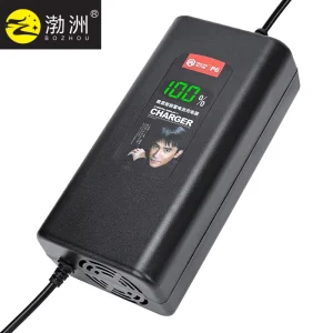 60V9a Marine Charger