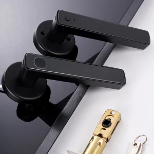 Custom Wholesale Tuya Fingerprint Smart Lock Wi-Fi Enabled