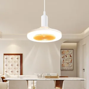 High Quality Cheap European Modern Minimalist Decoration LED Ceiling Fan