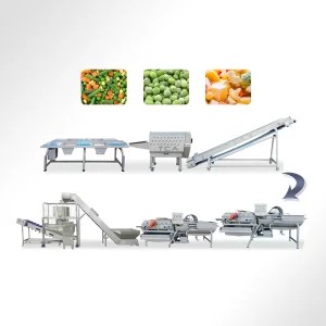 Commercial Frozen Vegetable Line