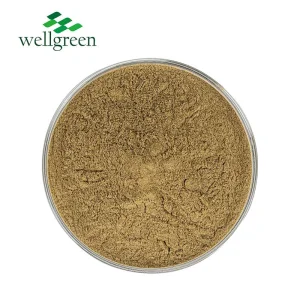 Natural Plant Extract Food Grade Oregano Leaf Extract Powder