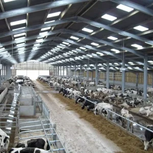 Prefab Agricultural Animal Shelter