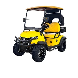2025 Premium Yellow Parison All-Terrain Electric Golf Cart | 2 Seater for Offroad Adventures &amp; Resorts Beach and Golf Clubs