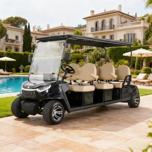 6 Seater Golf Cart Electric Model