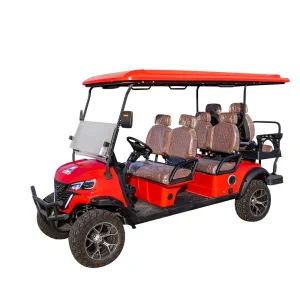 Carrinho de Golfe 2/4/6