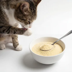 Sea Cucumber Intestinal Hydrolyzed Protein Easy Absorption Small Molecule Pet Food Grade Powder Factory Manufacturer