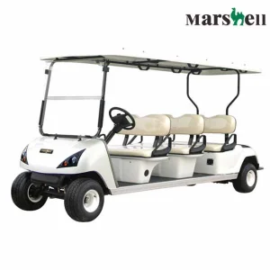 6 Passenger Cart