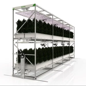 Reinfa Aeroponic System