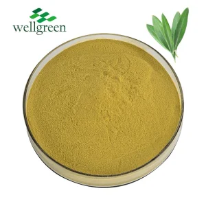 Bulk Sale Herbal Oliver Leaf Extract 10: 1 Oliver Leaf Extract Powder