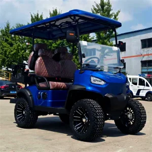 Anti-Theft Smart Off-Road Electric Golf Cart