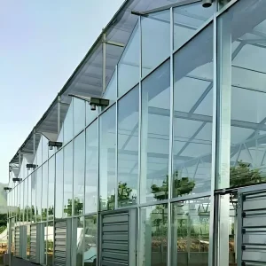 Greenhouse Curved Glass