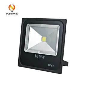 100W LED Flood Light