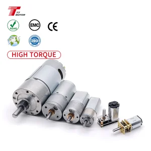 TT Micro 3V 6V 12V 24V Brush Motor Spur Gearbox Permanent Magnet 12mm 16mm 20mm 24mm 25mm 37mm Electric Dc Gear Motor