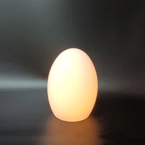 Egg Night Light