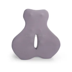 Lumbar Support Pillow for Office Chair Ergonomic Back Support