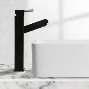 Black Stainless Steel Faucet