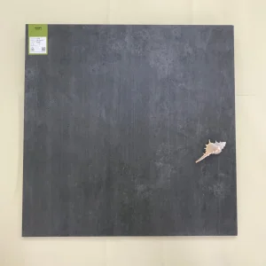 Italy Style 600*600 Inkjet Design Digital New Cement with Matt Concrete Tile (CVL608-COAL)