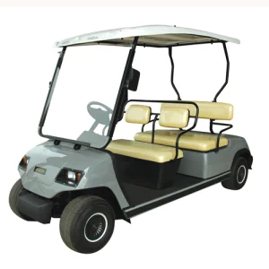 Comfortable Leather Seat Electric Golf Cart