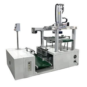 BBA Customized Auto Encasing Packing Robot