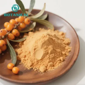 OEM Seaberry extract Powder
