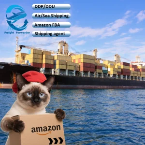 Quality Inspection DDP Delivery Services Sea Shipping From China to Belguim/USA /Canada/UK/Italy/Mexico/Germany/France