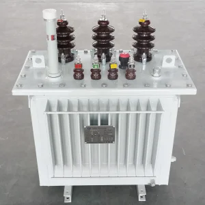 10kV Cast Resin Dry Typehigh Voltage Power Electric Toroidal Transformer