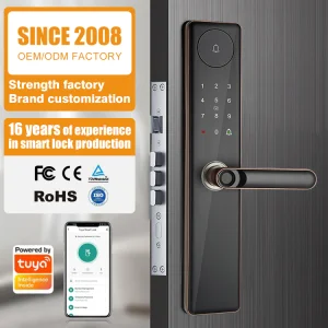 Entry Digital TUYA Lock Fingerprint Smart Lock Password Card Key Fingerprint Door Lock Smart Door Handle Lockset