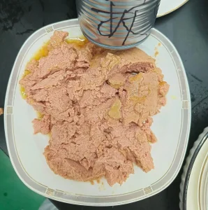 طعام رطب حلال