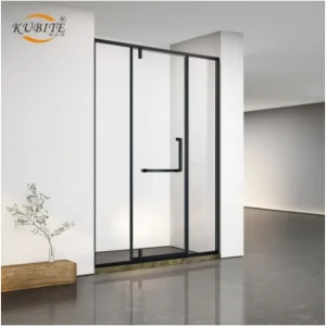 Glass Sliding Shower Door