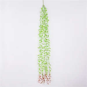 Mini Hanging Plants