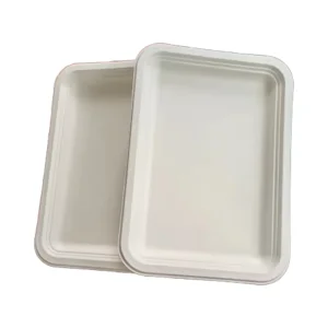 8 Inch Square Natural Sugarcane Bagasse Plates