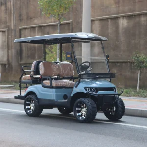 New 4 Seater Electric Golf Cart 5kW 70km Range CE Approved Sightseeing Car Off-road Golf Buggy Factory Wholesale Price