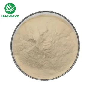Soy Protein Isolate Powder