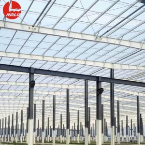 Honglu Fire-Retardant Steel High-Safety Disease Prevention Poultry and Livestock Breeding Warehouse