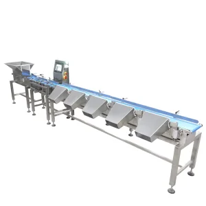 High Precision Checkweigher Automatic Online Multi-5 Level Weighing Sorting Machine