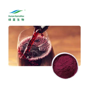 Natural Antioxidant 20% 30% Polyphenols Grape Red Wine Extract Powder for Nutraceuticals