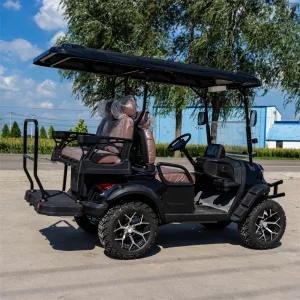 Electric 4 Stroke Sightseeing Off-Road Golf Cart