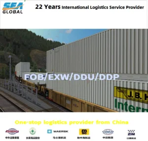 Fob Guangzhou to France Logistics Forwarder LCL Trusted Professional