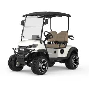 Comfortable 2 Seater Electric Golf Cart