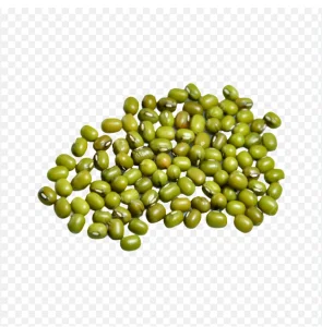 Premium Quality Organic Green Mung Beans High Protein Delicious Flavor Whole 10kg in Stock Fresh Harvest with Fast Delivery