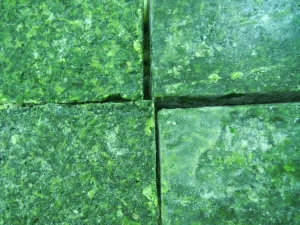 Espinaca picada hojas