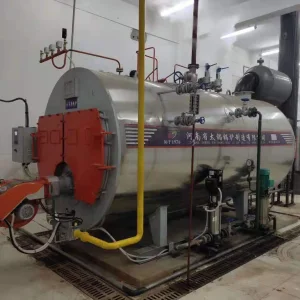Wood Fired Steam Boiler