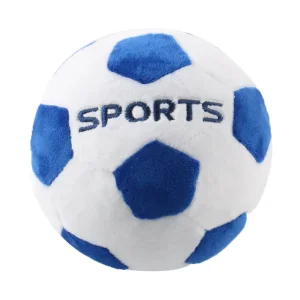 Football Series