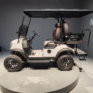 4 Seat Seater Club Car Electric Carrito De G Wagon Seats Petrol Ezgo 6 Golf Electric Cart Electrico Off Road Golf Cart