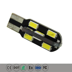 Energy-Efficient T10 LED Bulbs