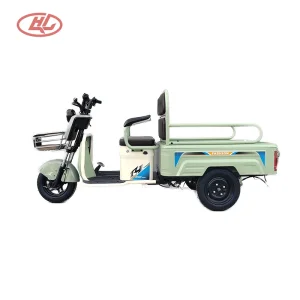Casual Style, Family Car, Sightseeing Cargo Dual-Purpose Electric Vehicle, Freight Trike