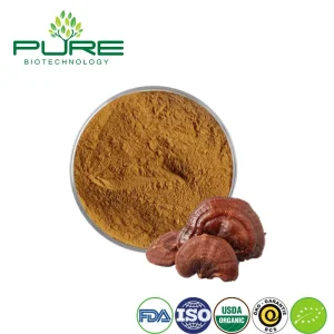 Premium Lingzhi Mushroom Extract for Immune Support and Vitality