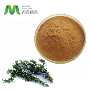 Forskolin Coleus Forskohlii Root Extract Powder Food Grade Herbal Extract HPLC Tested Drum Packaging